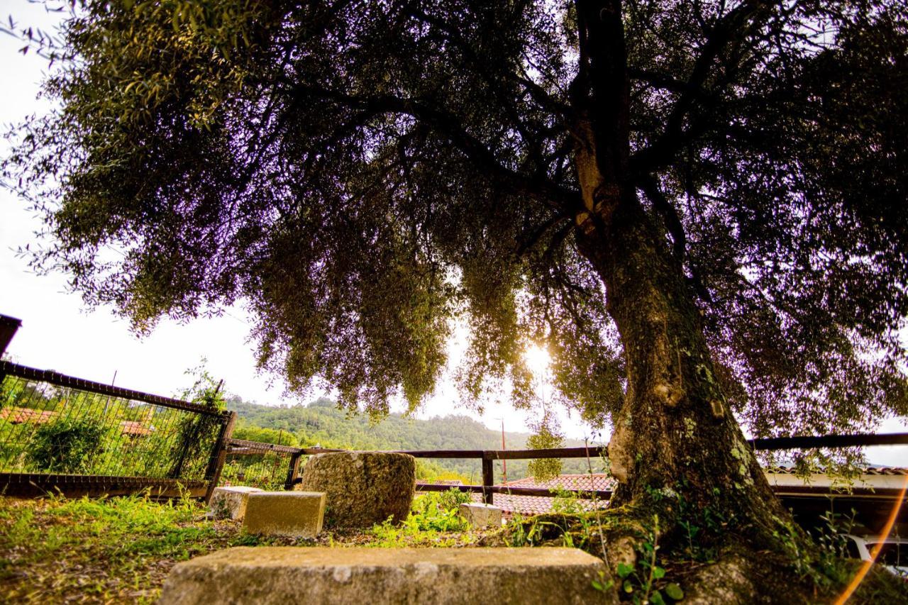 Holiday home Pena De Roca