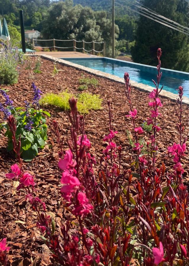 Pena De Roca Holiday home Pontevedra